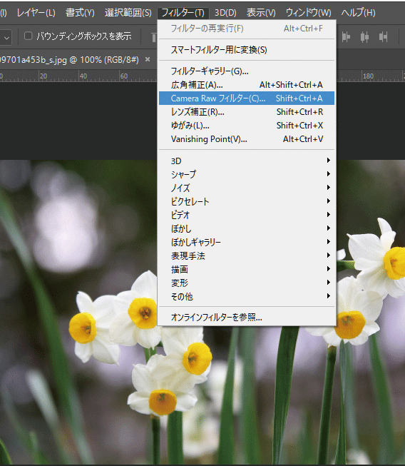 Camera Raw フィルターがグレーアウトしている ぱそらぼ ぱぁと２