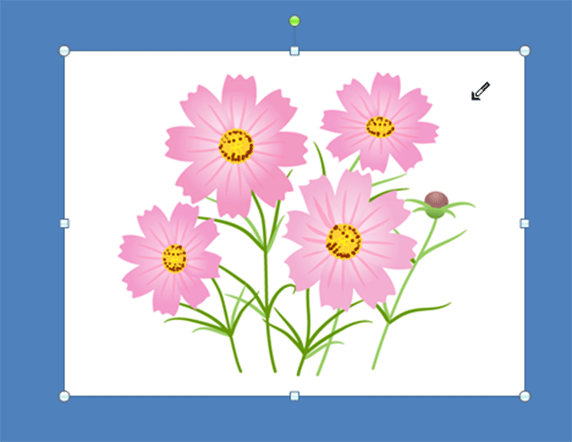 ワードの挿入画像に透過処理をしたい ぱそらぼ ぱぁと２